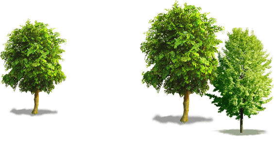 EFS - Excel Foundation Smart School